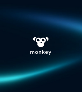 Leilão Reverso na antecipação de notas com a Monkey